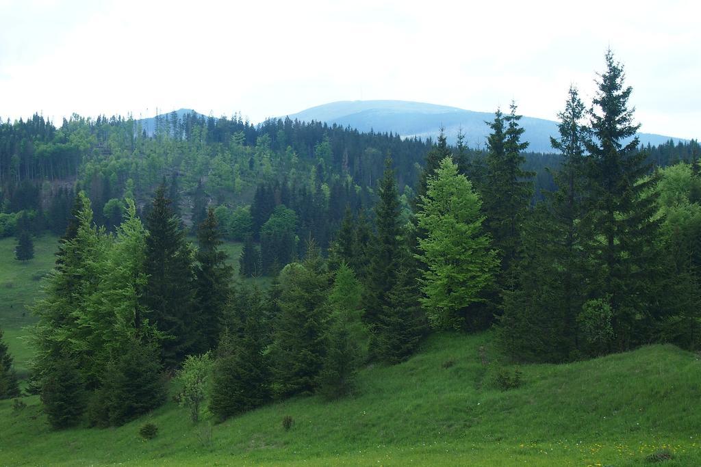 Horehronska Kuria Telgárt Exterior foto